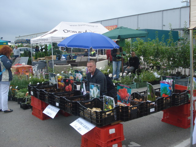 jesien w ogrodzie 2013_06