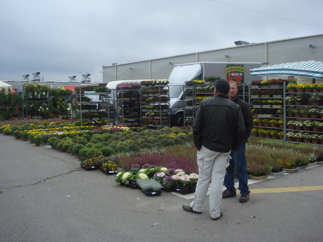 jesien w ogrodzie 2013_15