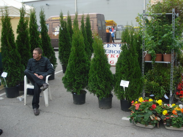 jesien w ogrodzie 2013_19