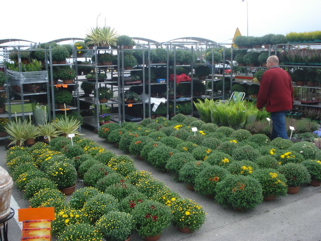 jesien w ogrodzie 2013_20