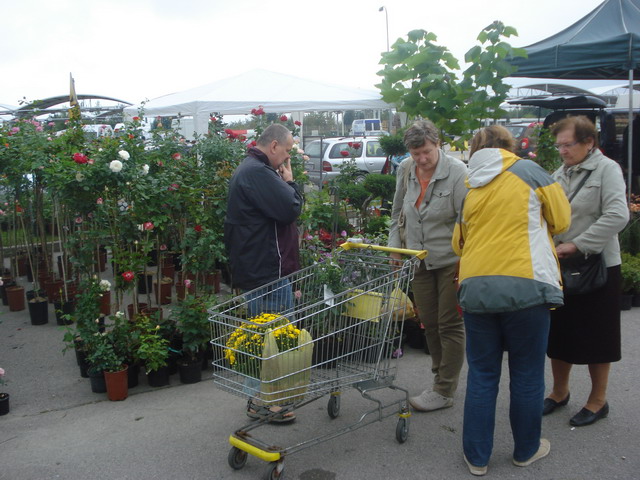 jesien w ogrodzie 2013_21