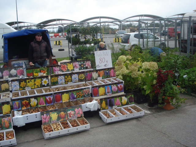 jesien w ogrodzie 2013_24