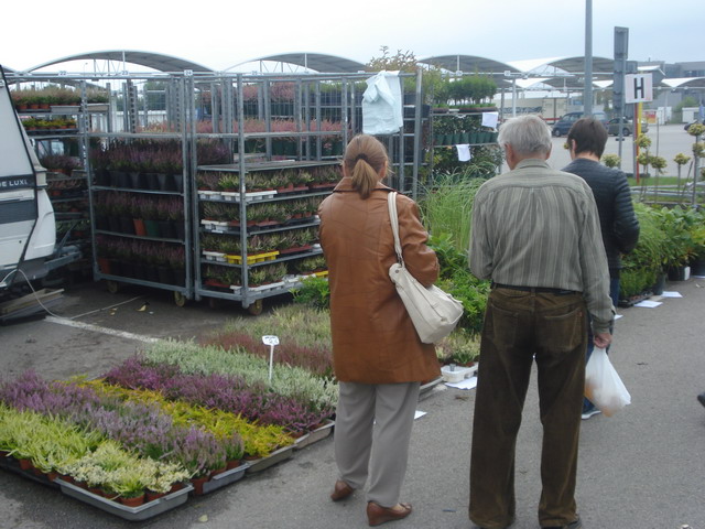 jesien w ogrodzie 2013_25