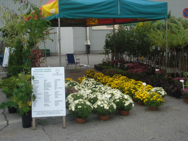 jesien w ogrodzie 2013_27