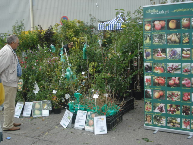 jesien w ogrodzie 2013_32