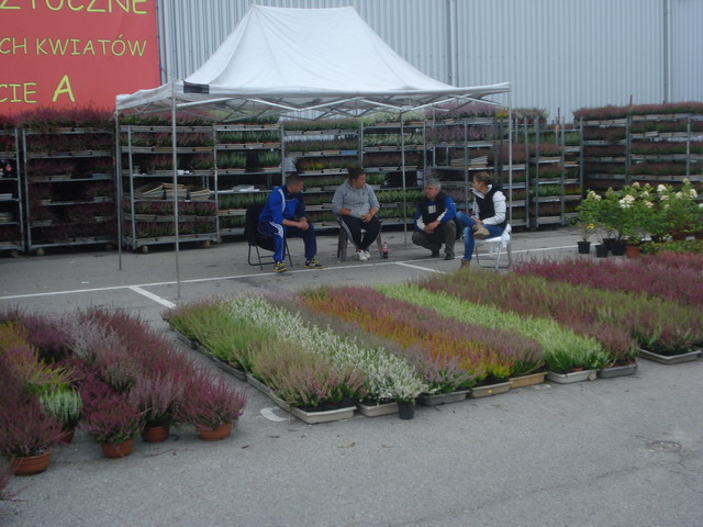 jesien w ogrodzie 2013_36