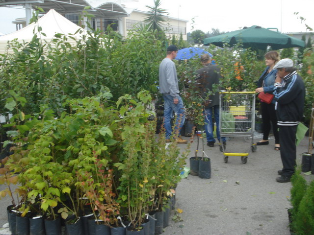 jesien w ogrodzie 2013_40