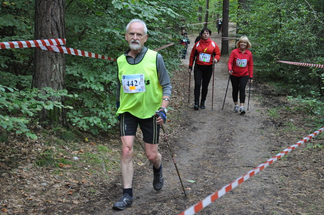 final nordic walking_111