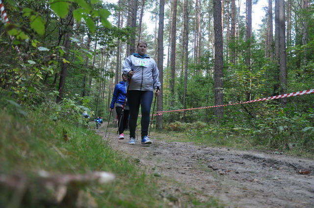 final nordic walking_123