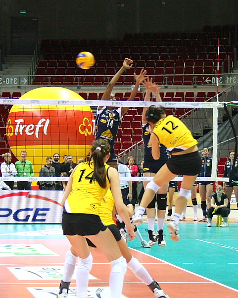 Atom Trefl - Budowlani