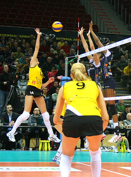 Atom Trefl - Budowlani