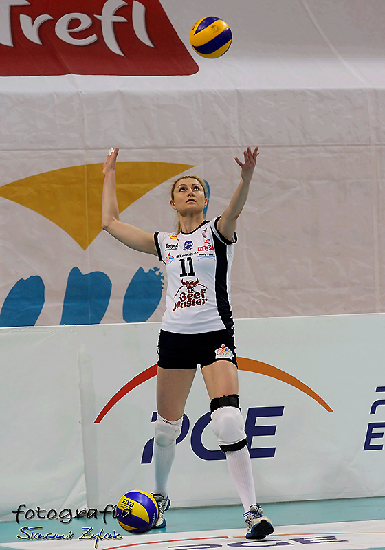 atom - beef masters po 2_6