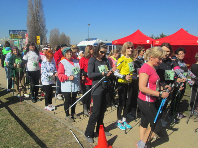 nordic walking 2014_13