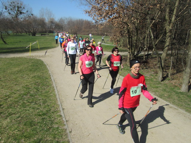 nordic walking 2014_27