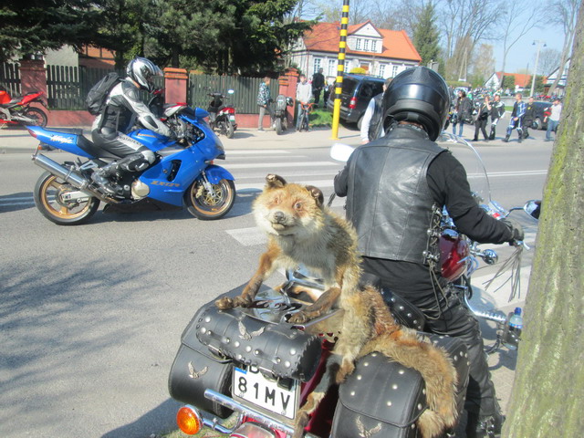 motoswienconka 2014_122