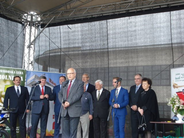 wiosna w ogrodzie 2014_006