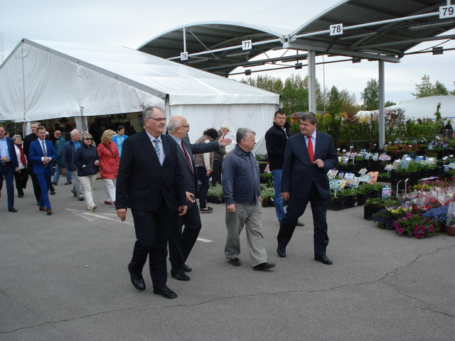 wiosna w ogrodzie 2014_015