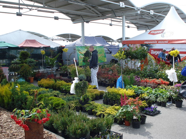 wiosna w ogrodzie 2014_029