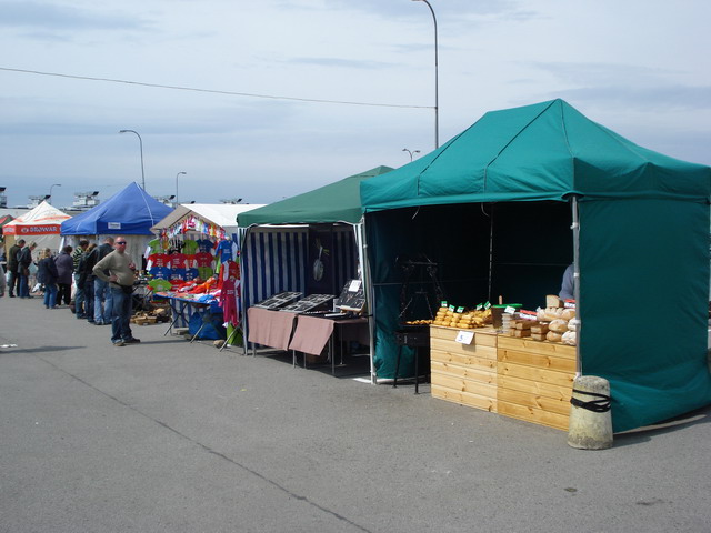 wiosna w ogrodzie 2014_030