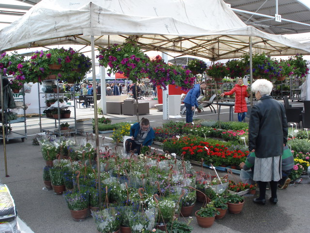 wiosna w ogrodzie 2014_036