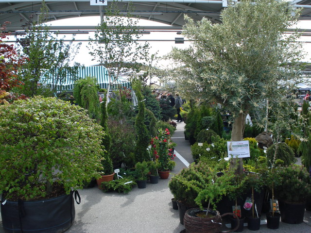 wiosna w ogrodzie 2014_042