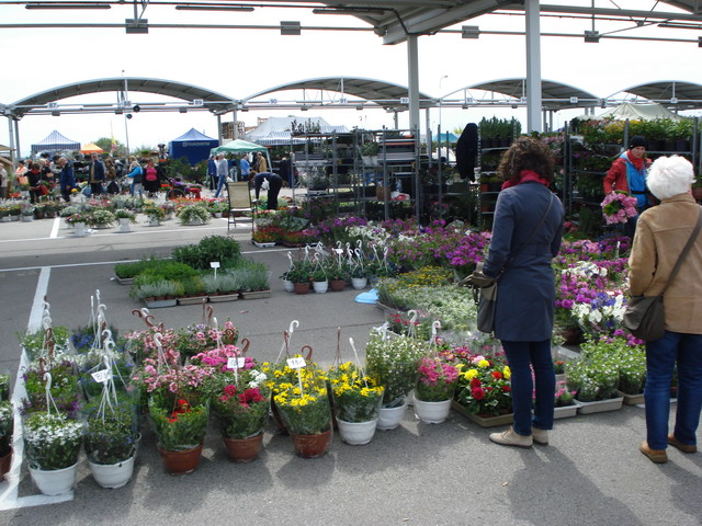 wiosna w ogrodzie 2014_043