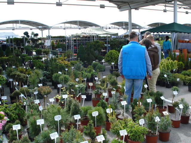 wiosna w ogrodzie 2014_044