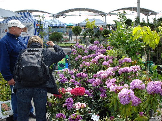 wiosna w ogrodzie 2014_051