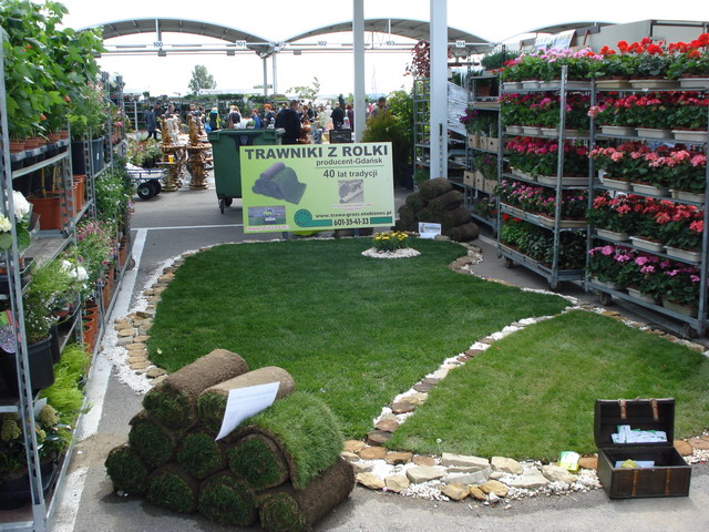 wiosna w ogrodzie 2014_054