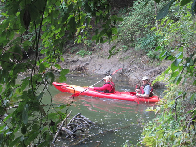 Pomorskie_Swieto_Wisly_2014_33