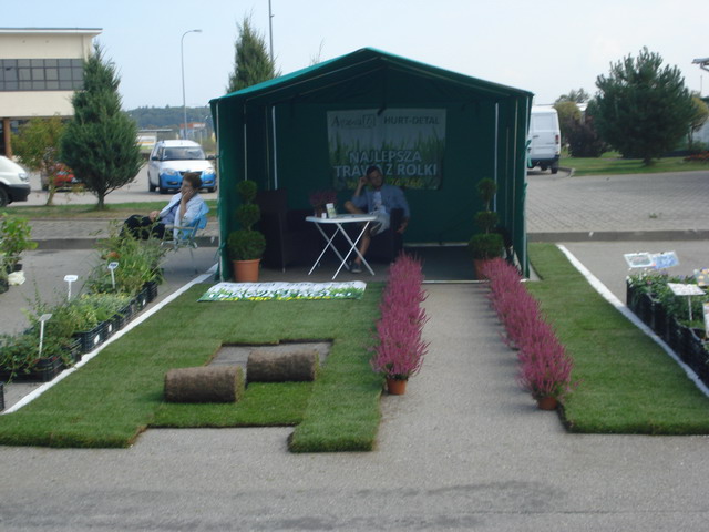 jesien w ogrodzie 2014_61