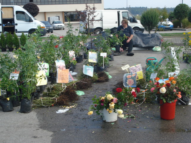 jesien w ogrodzie 2014_62