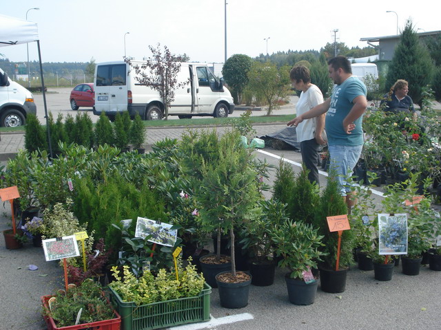 jesien w ogrodzie 2014_63