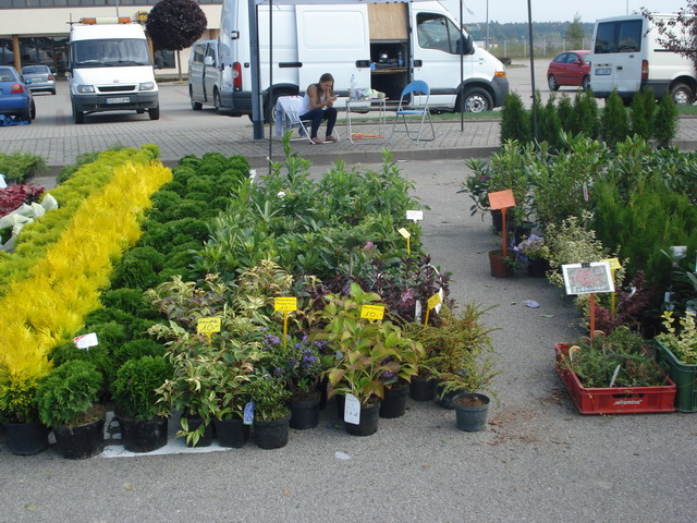 jesien w ogrodzie 2014_64