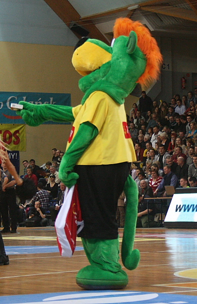 Trefl - Anwil