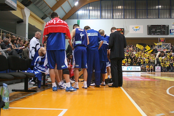 Trefl - Anwil
