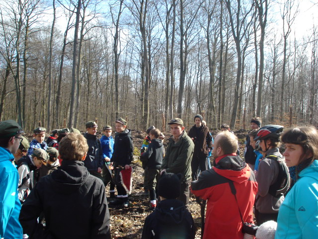 sadzenie drzewek 2015_03