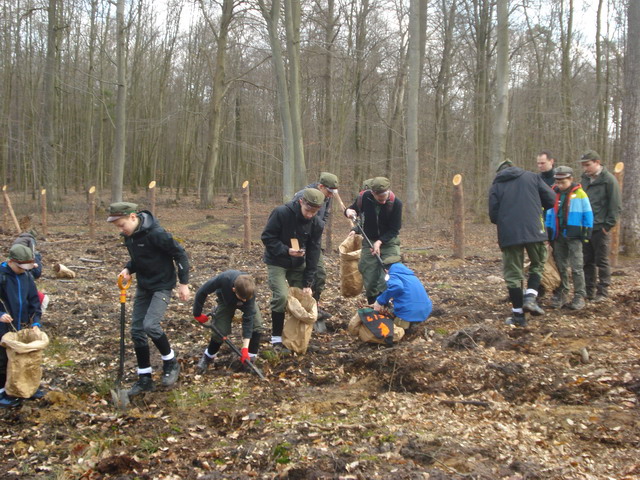 sadzenie drzewek 2015_27