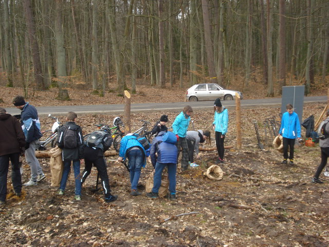 sadzenie drzewek 2015_28