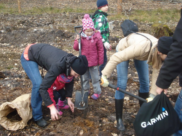 sadzenie drzewek 2015_30