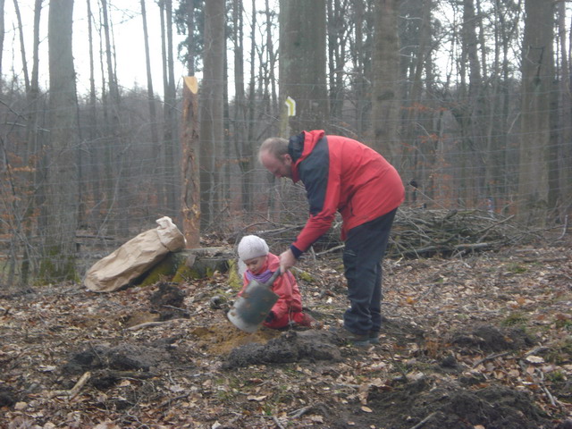 sadzenie drzewek 2015_39