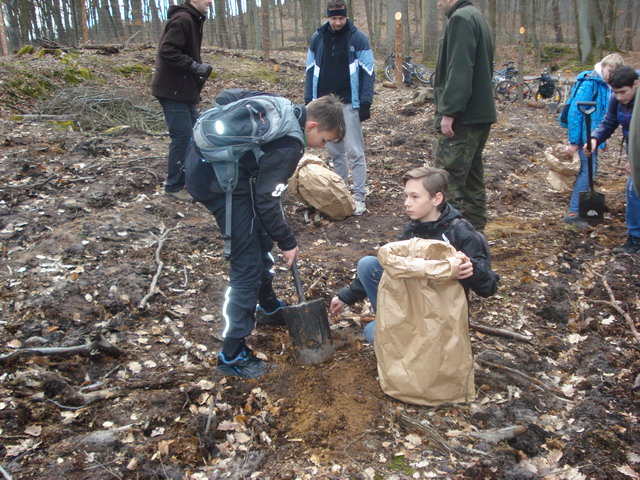 sadzenie drzewek 2015_55