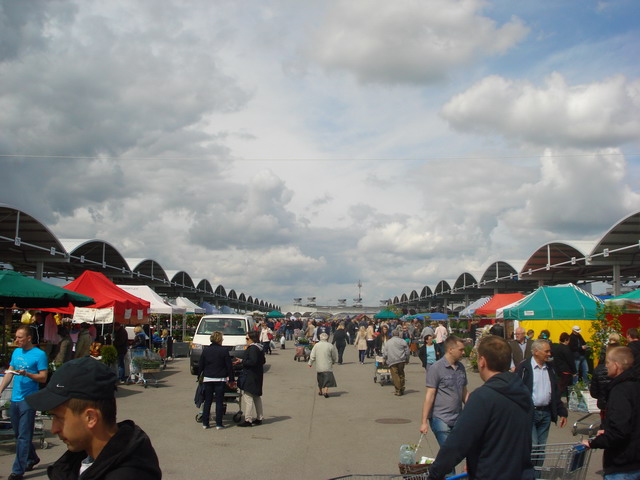 wiosna w ogrodzie 2015_51