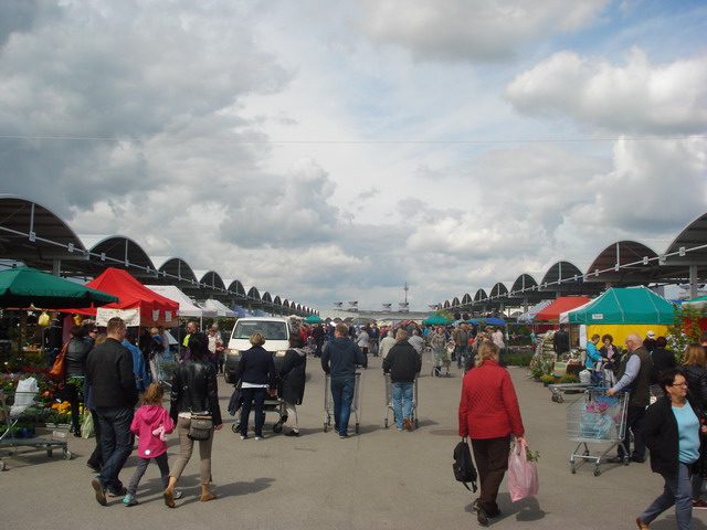 wiosna w ogrodzie 2015_52