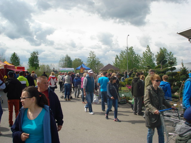 wiosna w ogrodzie 2015_53