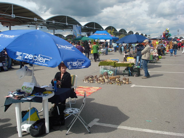 wiosna w ogrodzie 2015_65