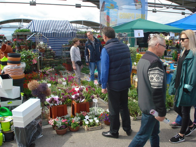 wiosna w ogrodzie 2015_73