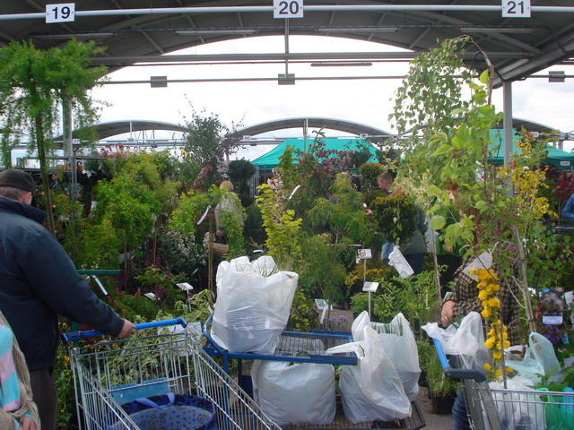 wiosna w ogrodzie 2015_82