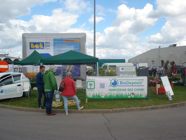 wiosna w ogrodzie 2015_92