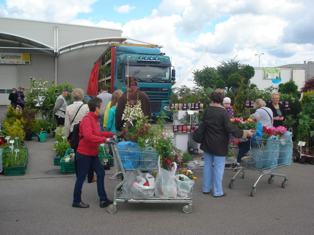 wiosna w ogrodzie 2015_97